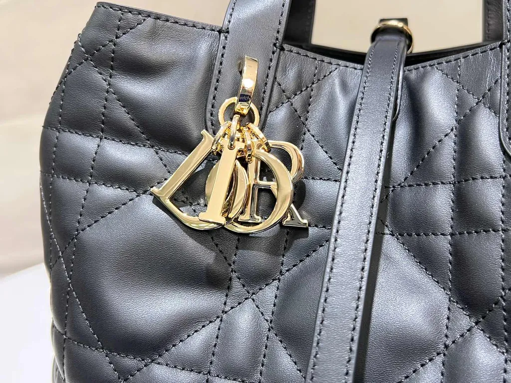 Dior Bag 